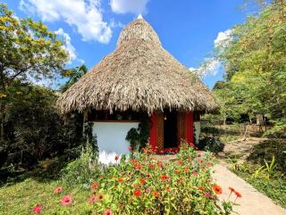 Palapa Ix-Chel - Unique bungalow - San Ignacio - 9