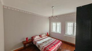 NEW VILLA GLYCINES indépendante 2 chambres jardin clos bien situé - 6