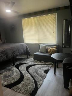 Modern Glass City Home - 5