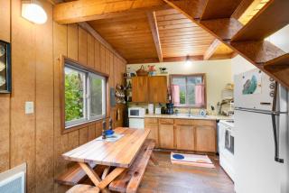 Downtown pet friendly wood cabin - 1