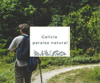 Villa Carolina Luxury Singular - 6