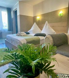 Pensiunea Carina - 3