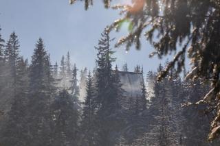 Diamant Dragobrat - 3