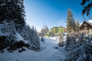 Diamant Dragobrat - 1