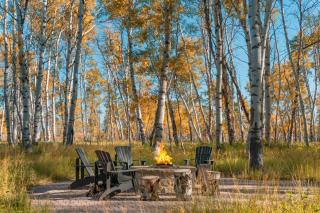 Lux Private Mtn Estate Wildlife Games & Hot Tub - 7