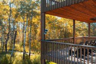 Lux Private Mtn Estate Wildlife Games & Hot Tub - 1