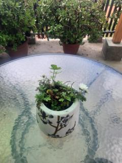 Loft vista a la bahía - 1