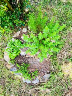 Treasure of Perche-Gouët in a village house! - 5