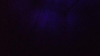 Pousada Paraíso Mineiro - 1