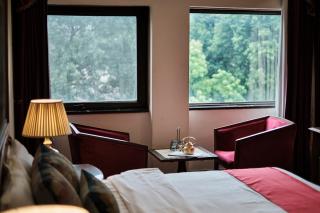 Hotel Kwality Regency - 5