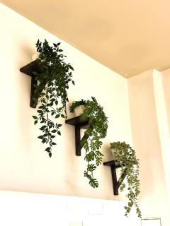 La Corte di San Lorenzo - 5