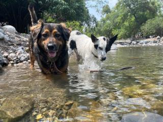 Casa amigos Comala - 4