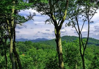 River Rock Cabin - Comfortable, Private Home with King Beds & Mountain Views - 8