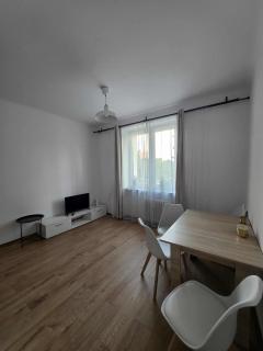 Kawalerka Krasińskiego - 4