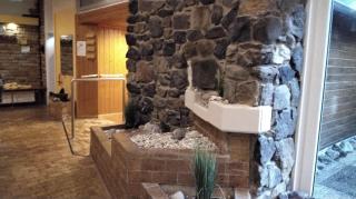 Ferienperle-Bad-Harzburg-mit-Schwimmbad-und-Sauna - 3