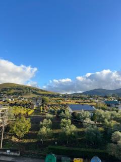 Pensión Ferreiriño - 8