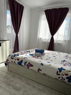 Apartament Cosmina's Dream - Turnişor - 9