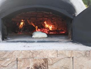 Espectacular Casa Quinta con Viñedo y Piscina privada en San Rafael Mendoza - 1