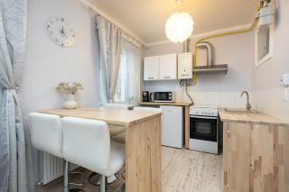 Light, cozy apartement - 6