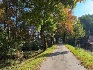 Ferienwohnung Eckis Eck - 8