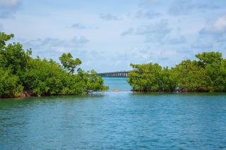 Fisherman's Retreat - Conch Key - 7