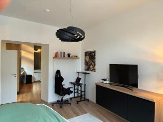 Luxurious Studio Apartment Vyšehrad - Prag - 7