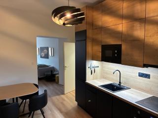 Luxurious Studio Apartment Vyšehrad - Prague - 6