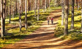 The Zen Den Rokua - 3