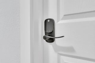 roomstr Ohio Room 1 Bedroom in South Tampa with Shared Full Bathroom & FREE COFFEE - 9