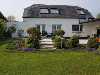 Holiday home in Neukirchen with barbecue - 9