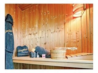 Holiday apartment in Olpenitz with sauna - 3