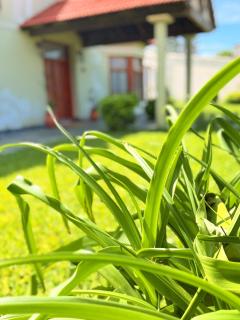 Casa Raíz - Villaguay - 8