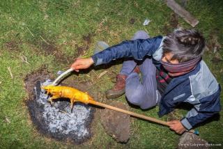 Ortega'S Guest House -  - 3