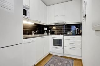 Adorable Arctic Apartments - Private Sauna & Free Parking - 5