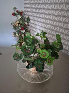 Apartamento bem localizado e aconchegante - COP30 - 4