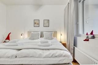 Adorable Arctic Apartments - Private Sauna & Free Parking - 3