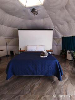 Glamping Karl - 8