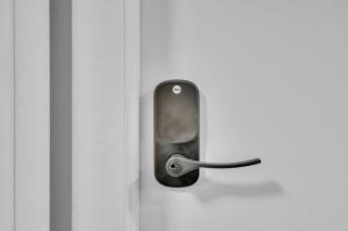 roomstr Virgina Room 1 Bedroom in South Tampa with Shared Full Bathroom & FREE COFFEE - 4