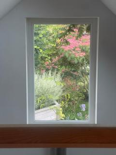 Les Dunes de Longchamp - 4