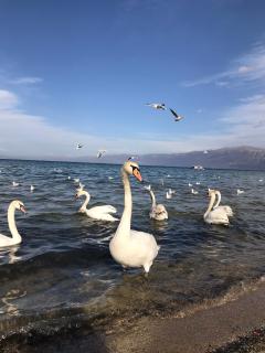 RentRoom Ajan Apartment - 9