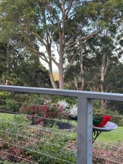 The Oasis Retreat - 9