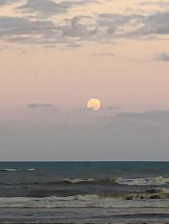 Xangrilá, um paraíso perto da praia - 8