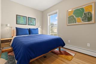 Cozy Apt near MIT & Harvard - 1