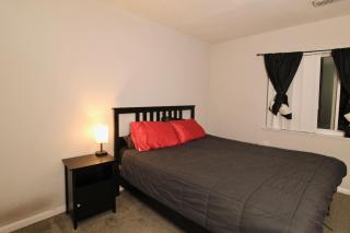Spacious 1BR with Full Kitchen & Laundry - 2