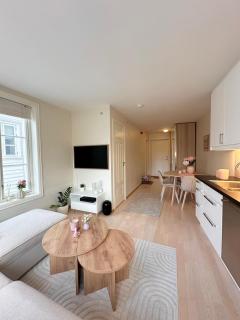 Apartment in Stavanger centrum - 2