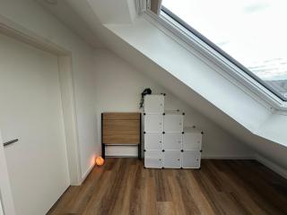 Vision and plenty of light -  - 7