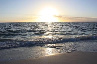 An Island Getaway at Palm Tree Villas - 1