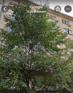 Apartment 8 - Historical City Center - 9