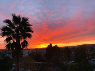 LA Chic Stunning Views & Sunsets - 7