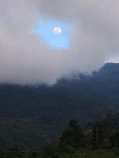 Agüita con Limón Natural Health - 6